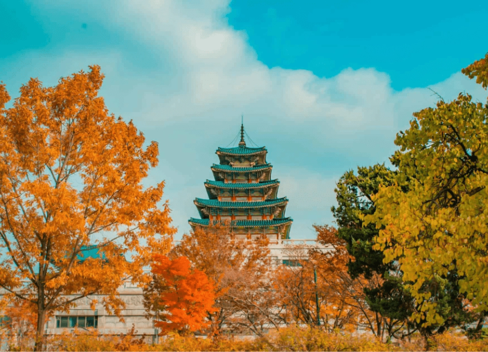 [Tour Hàn Quốc tháng 10] Du lịch Seoul - Nami - Everland (24/10/2025)