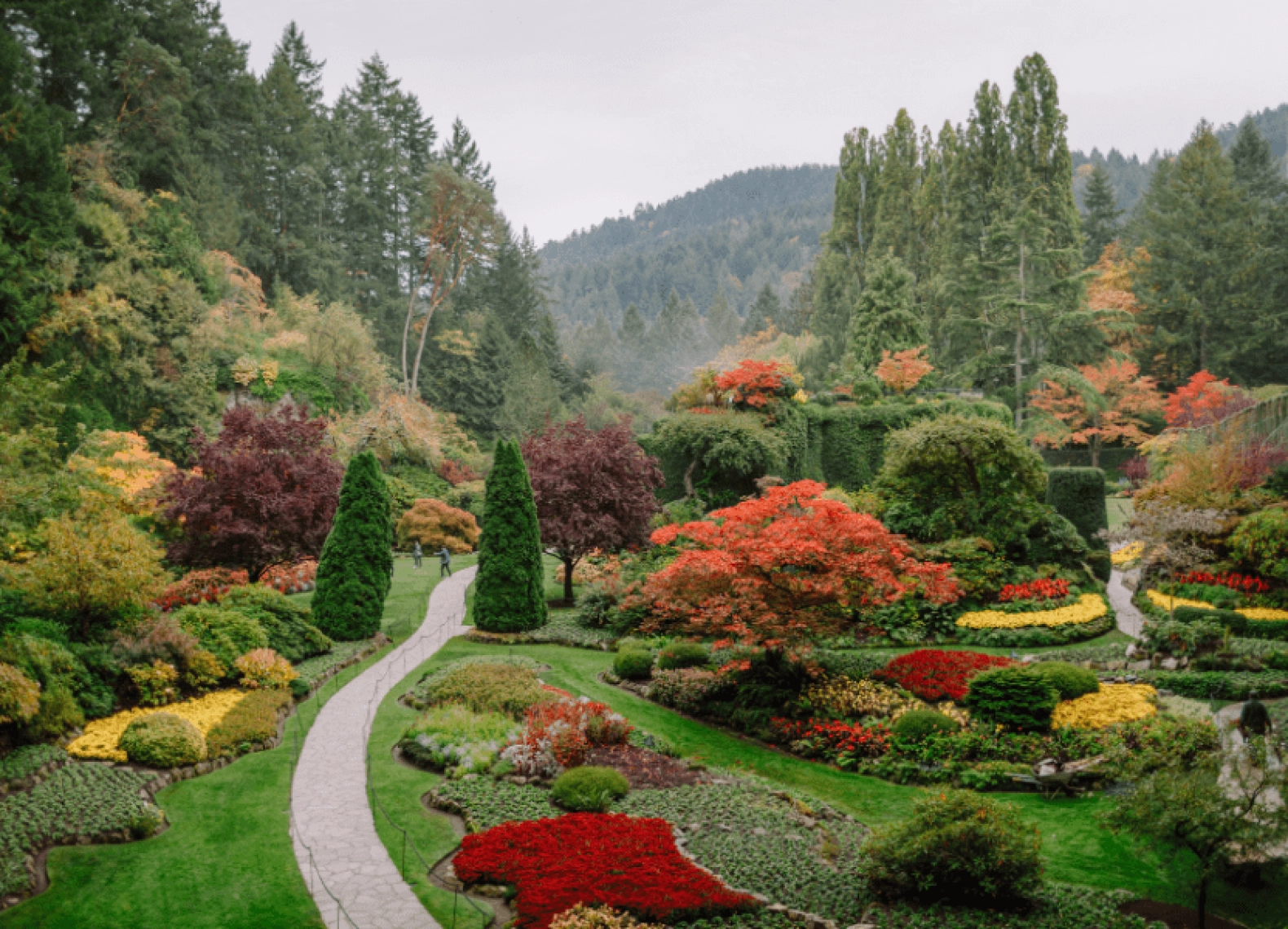 [Tour Canada bờ Tây tháng 10] Vancouver - Đảo Victoria (20/10/2026)
