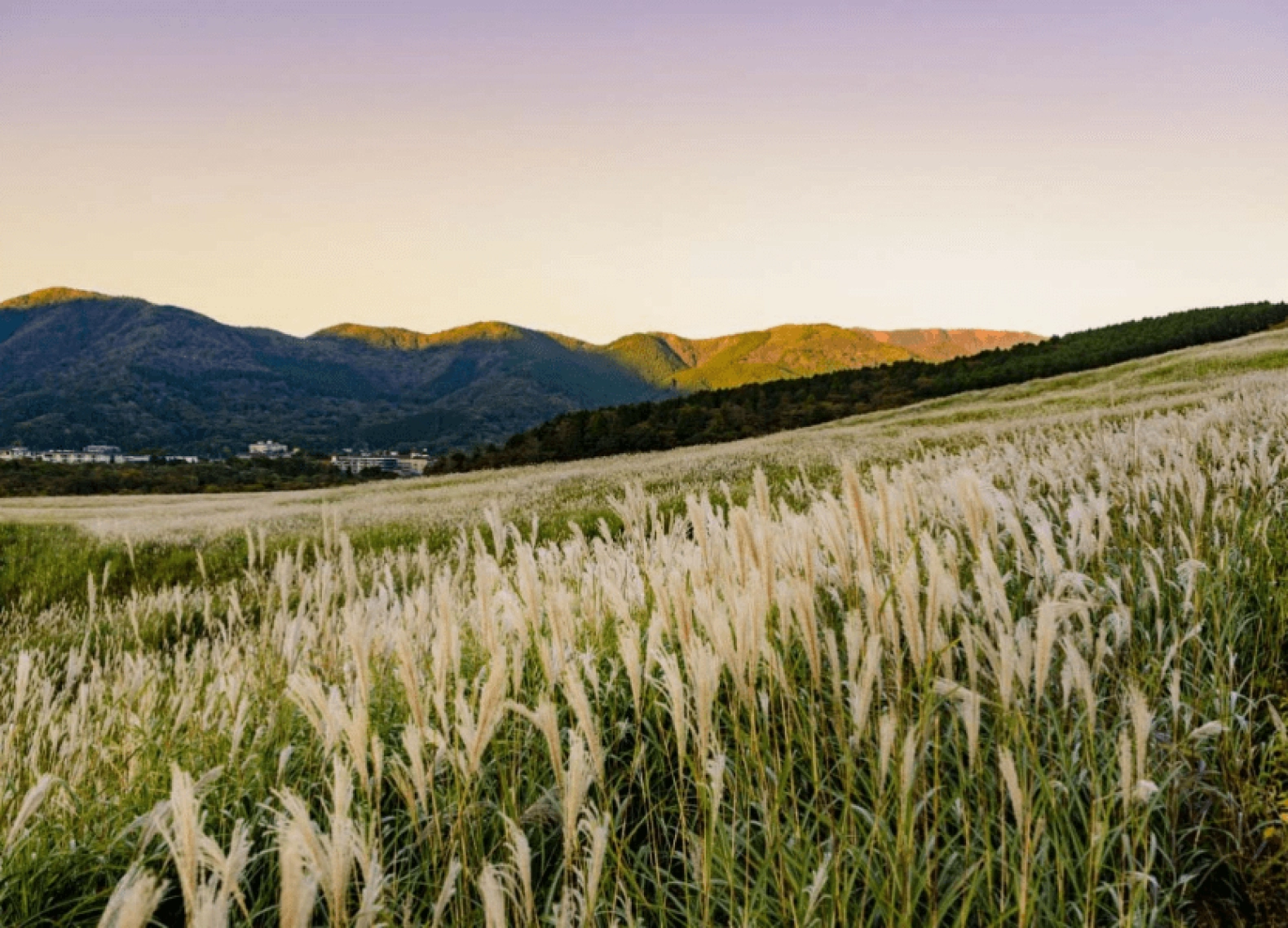 [Tour Nhật Bản 5N4Đ tháng 10] Tokyo - Phú Sĩ - Hakone (16/10/2025)