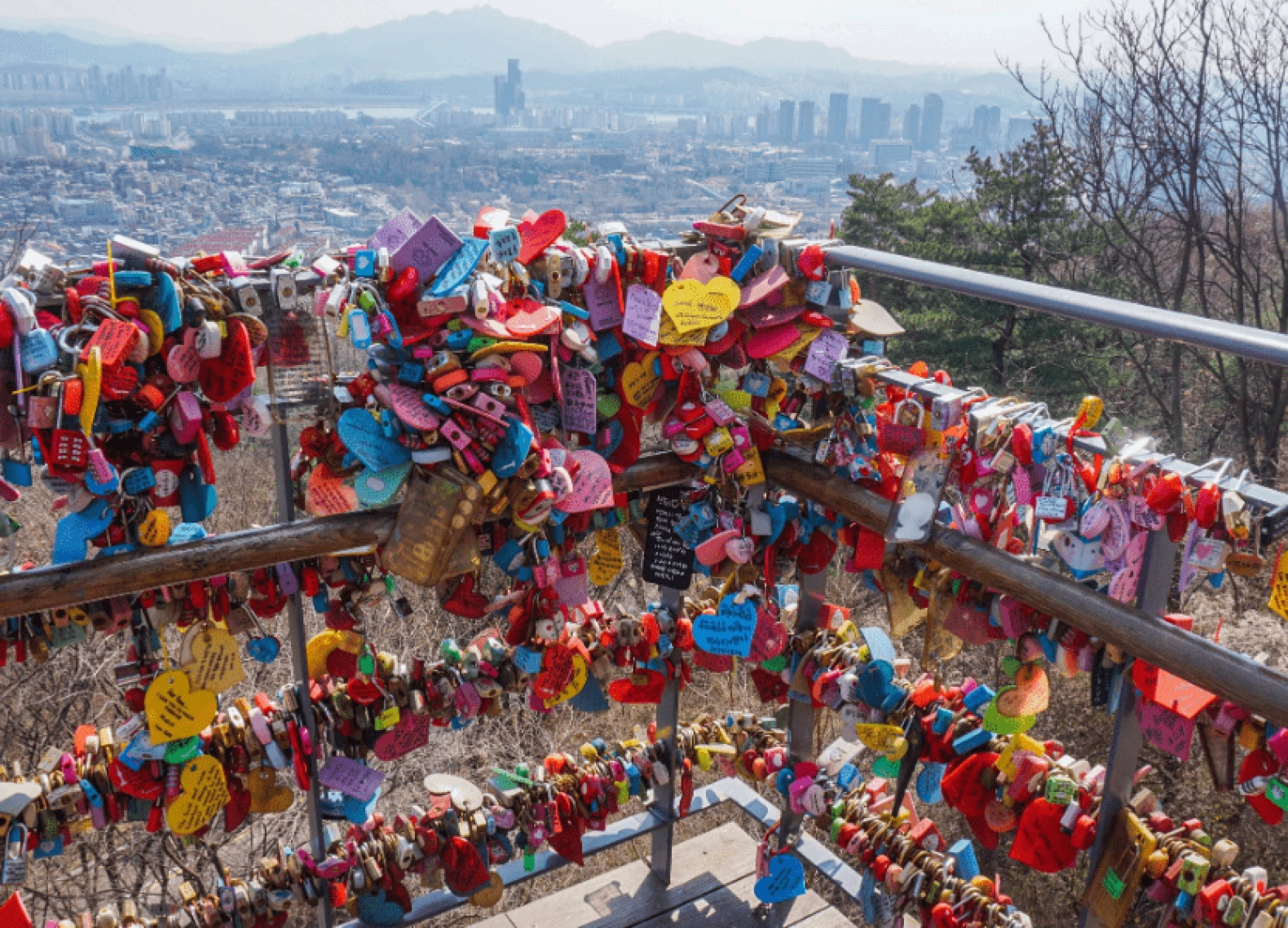 [Tour Hàn Quốc tháng 4] Ngắm hoa anh đào ở Yeouido (17/04/2026)