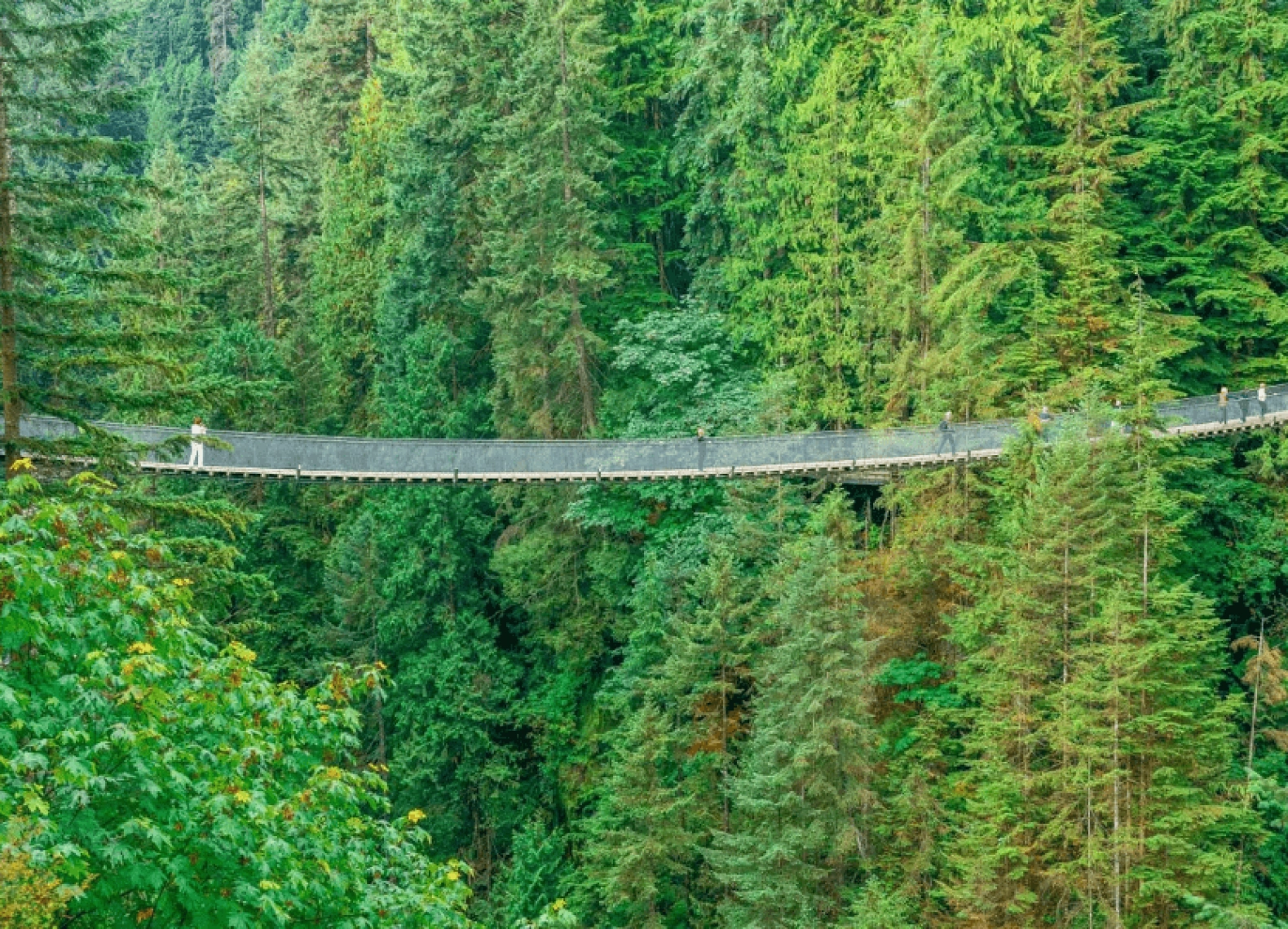 [Tour Canada bờ Tây tháng 8] Vancouver - Đảo Victoria (17/08/2026)