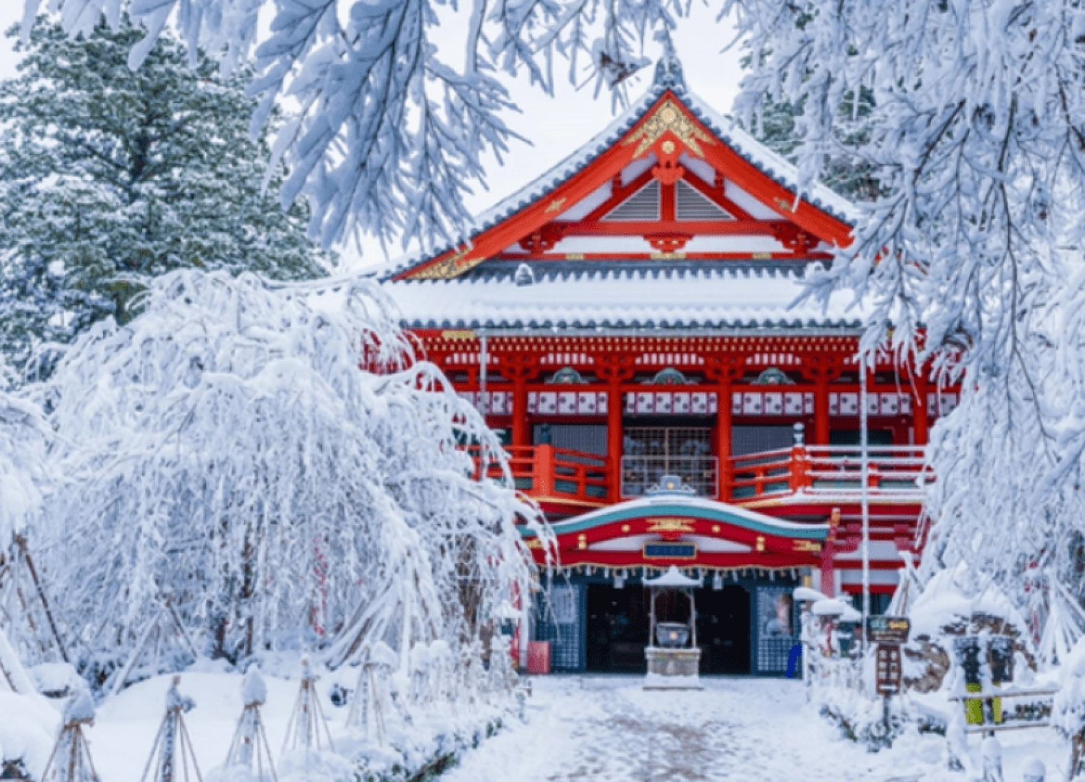 [Tour Nhật Bản CĐV tháng 1] Tokyo - Phú Sĩ - Nagoya - Kyoto - Osaka (21/01/2026)