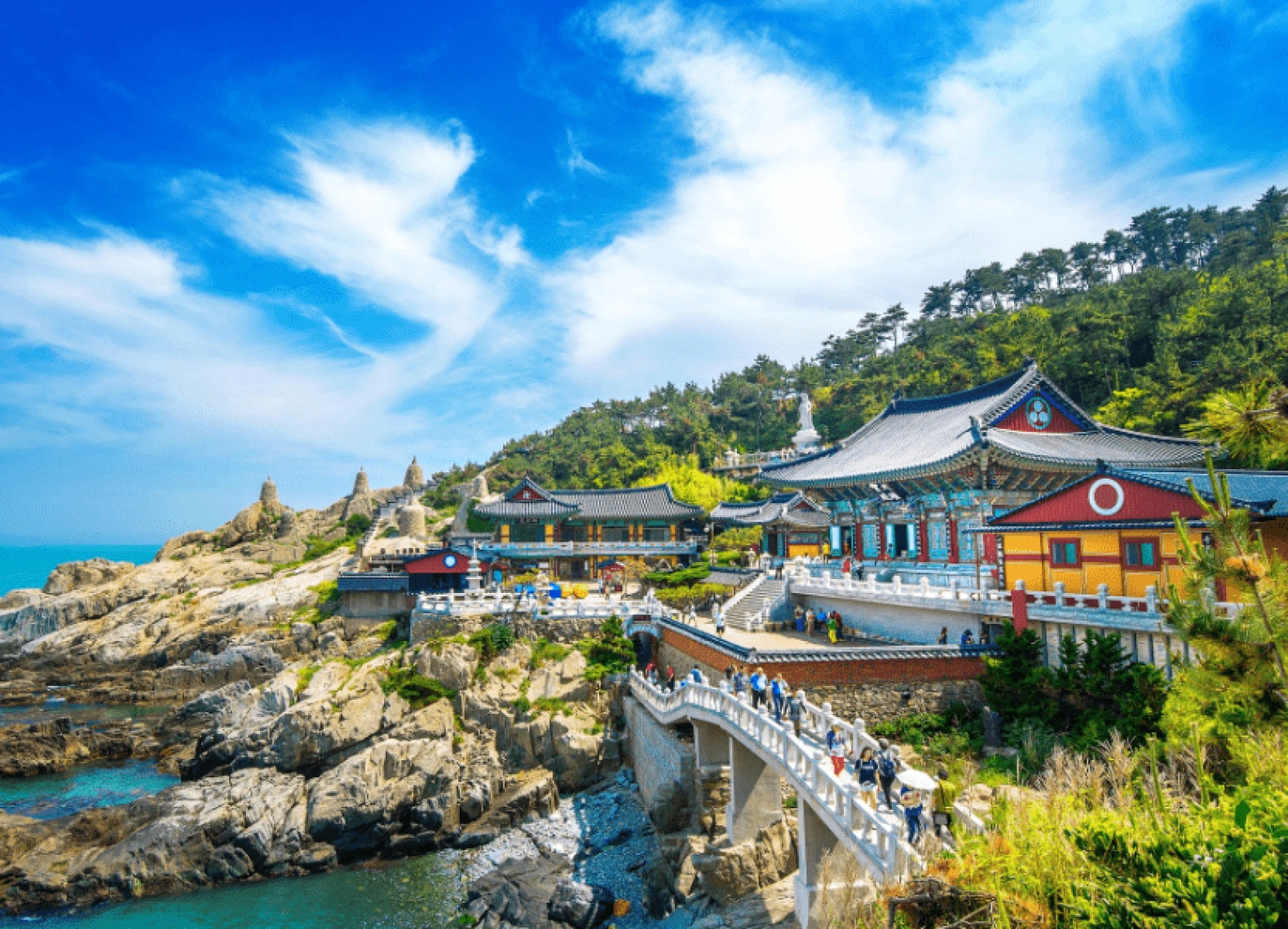 [Tour Hàn Quốc tháng 3] Du lịch khám phá Busan - Daegu - Seoul (11/03/2026)