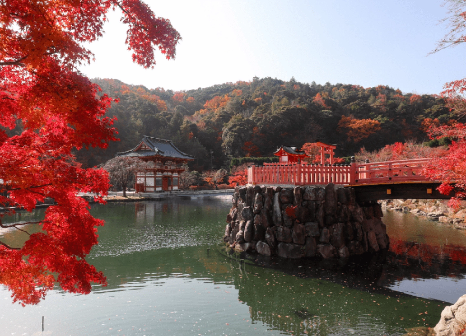 [Tour Nhật Bản CĐV tháng 12] Tokyo - Phú Sĩ - Nagoya - Kyoto - Osaka (12/12/2025)