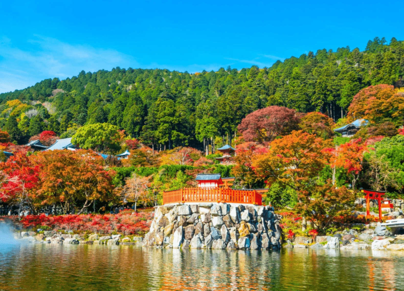 [Tour Nhật Bản CĐV tháng 10] Mùa lá đỏ Tokyo - Phú Sĩ - Nagoya - Kyoto - Osaka (22/10/2025)