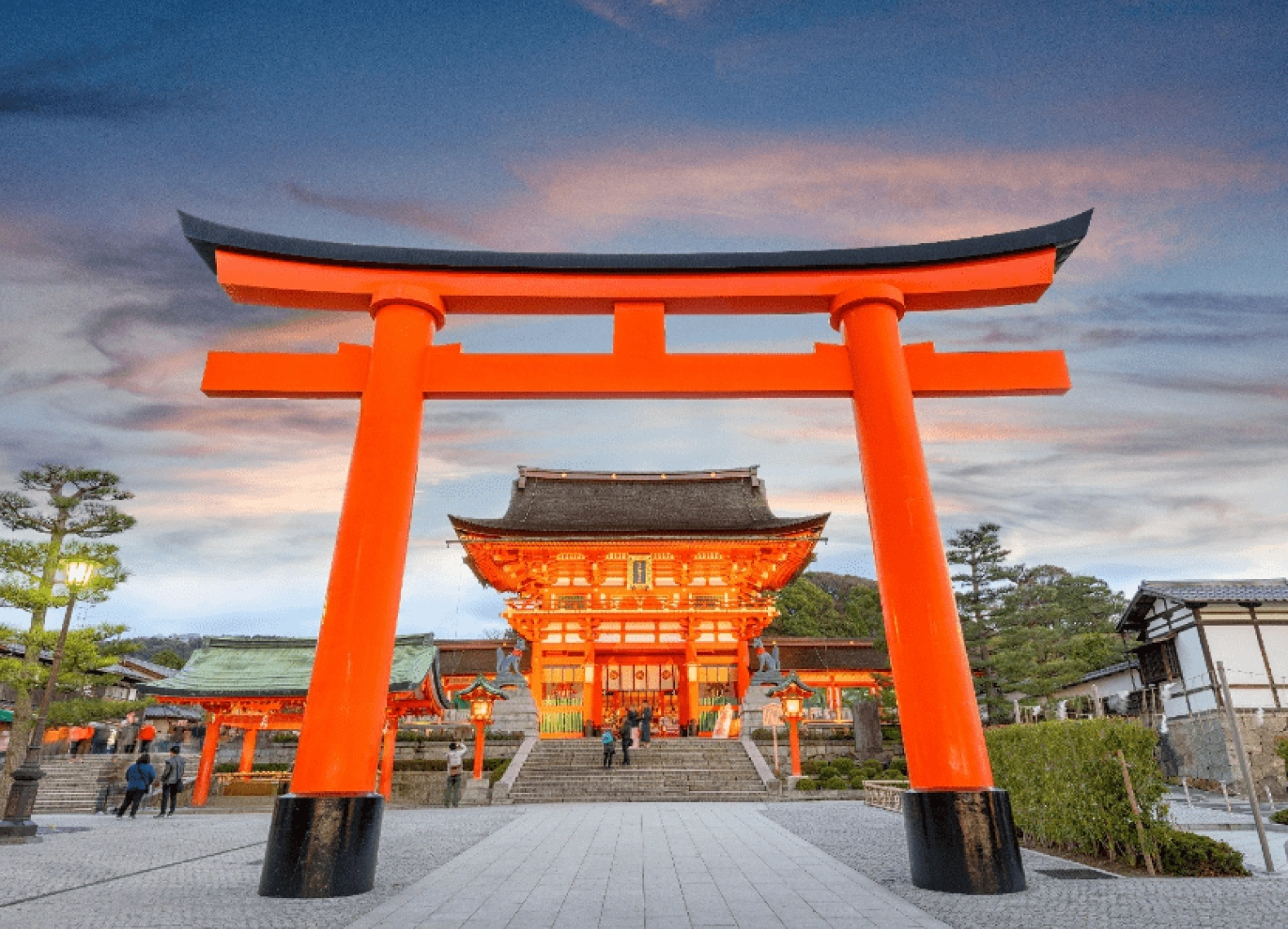 [Tour Nhật Bản CĐV tháng 5] Mùa hè Tokyo - Phú Sĩ - Osaka (19/05/2026)