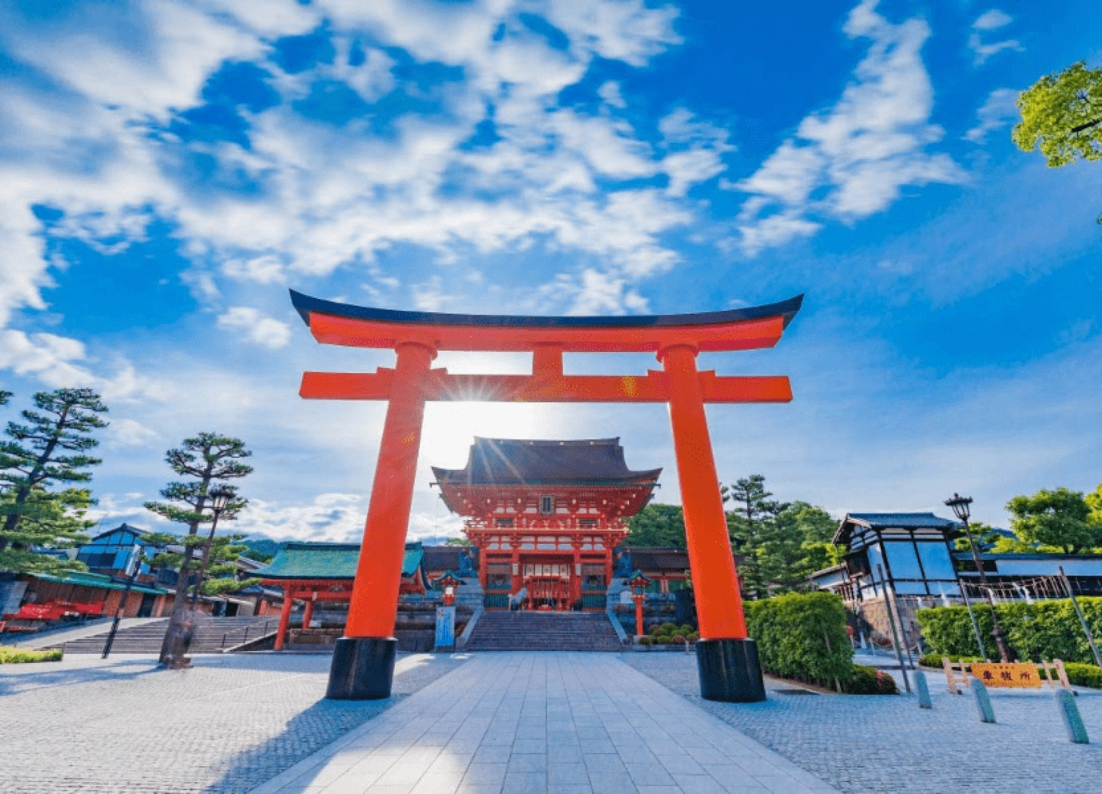 [Tour Nhật Bản CĐV tháng 7] Tokyo - Phú Sĩ - Nagoya - Kyoto - Osaka (29/07/2026)
