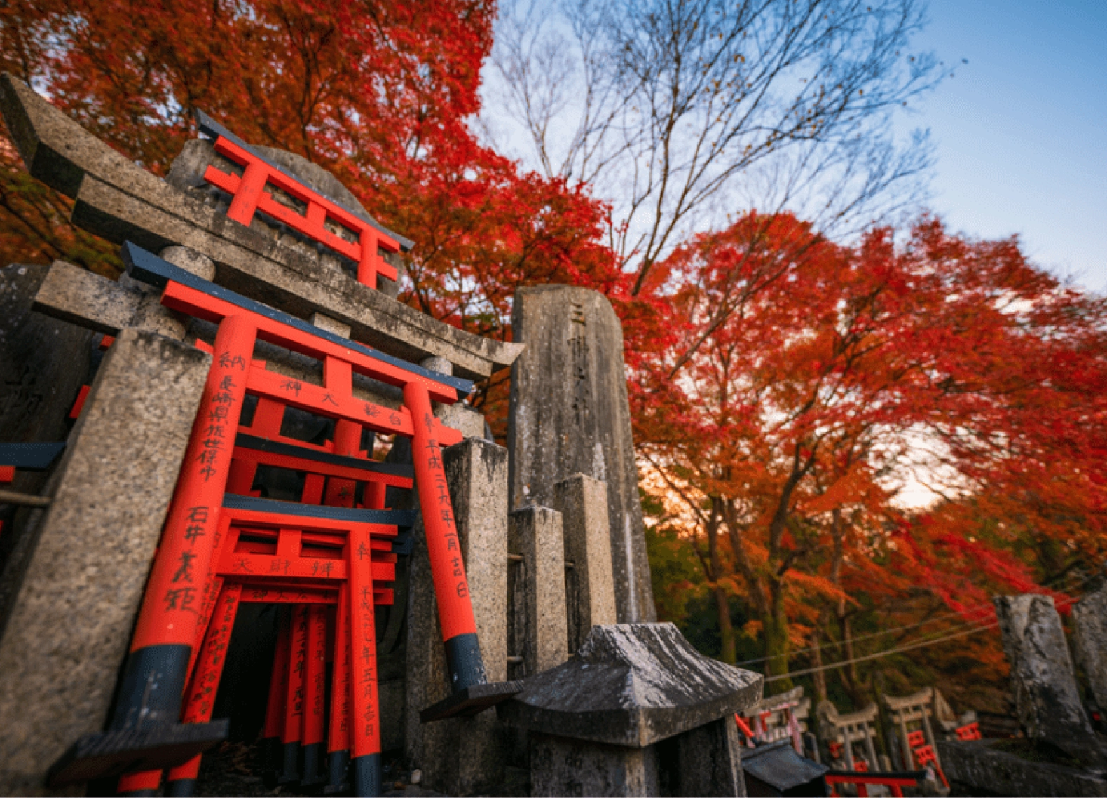 [Tour Nhật Bản CĐV tháng 12] Tokyo - Phú Sĩ - Nagoya - Kyoto - Osaka (05/12/2025)