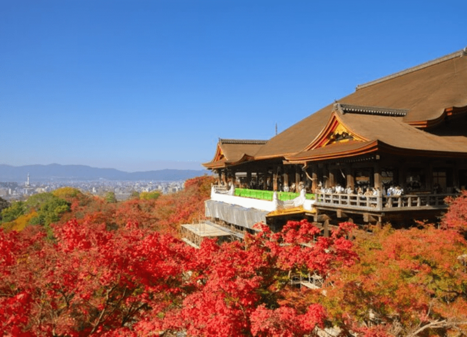 [Tour Nhật Bản CĐV tháng 12] Tokyo - Phú Sĩ - Nagoya - Kyoto - Osaka (12/12/2025)