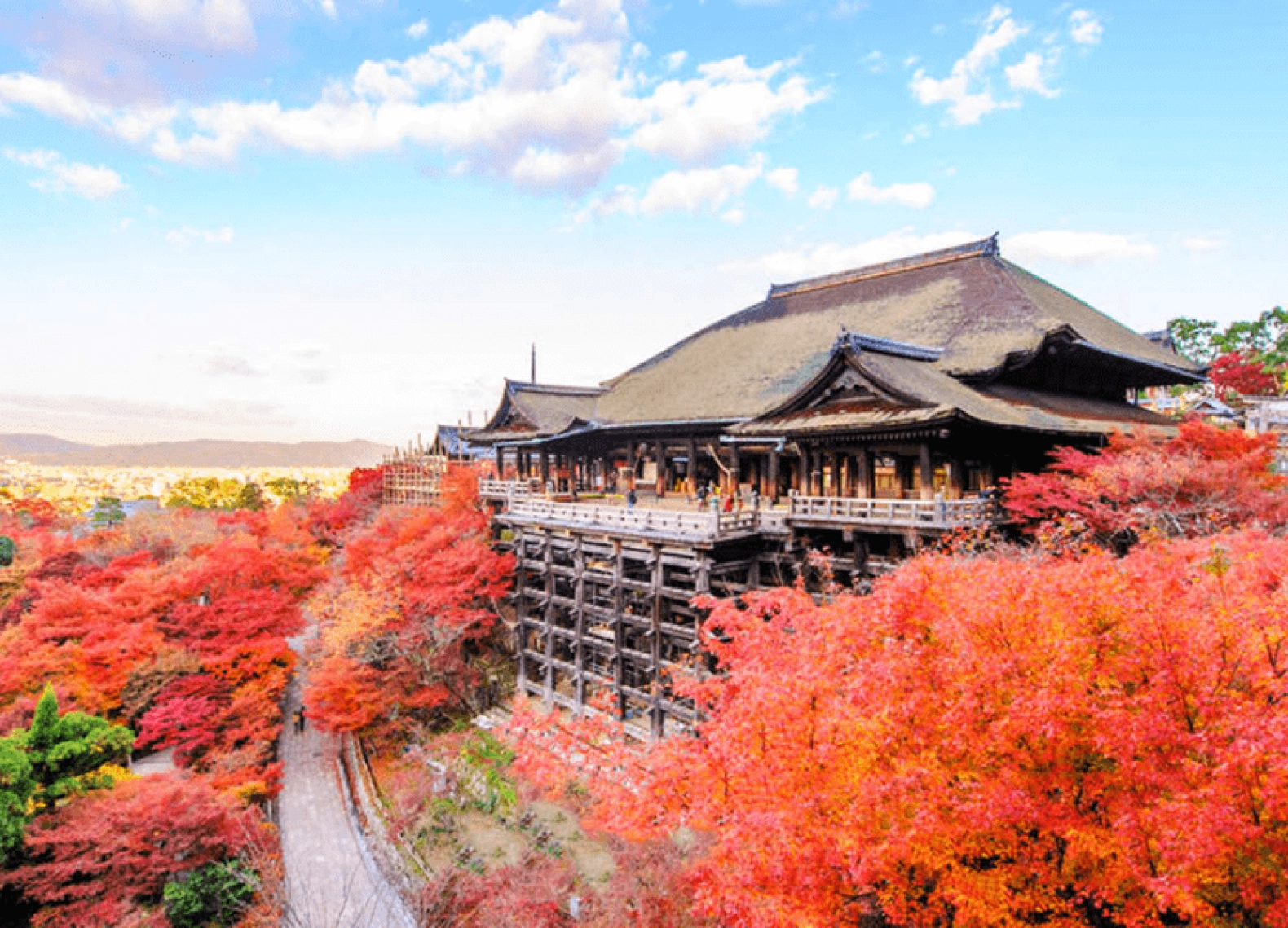 [Tour Nhật Bản CĐV tháng 11] Osaka - Kyoto - Nagoya - Phú Sĩ - Tokyo (18/11/2025)