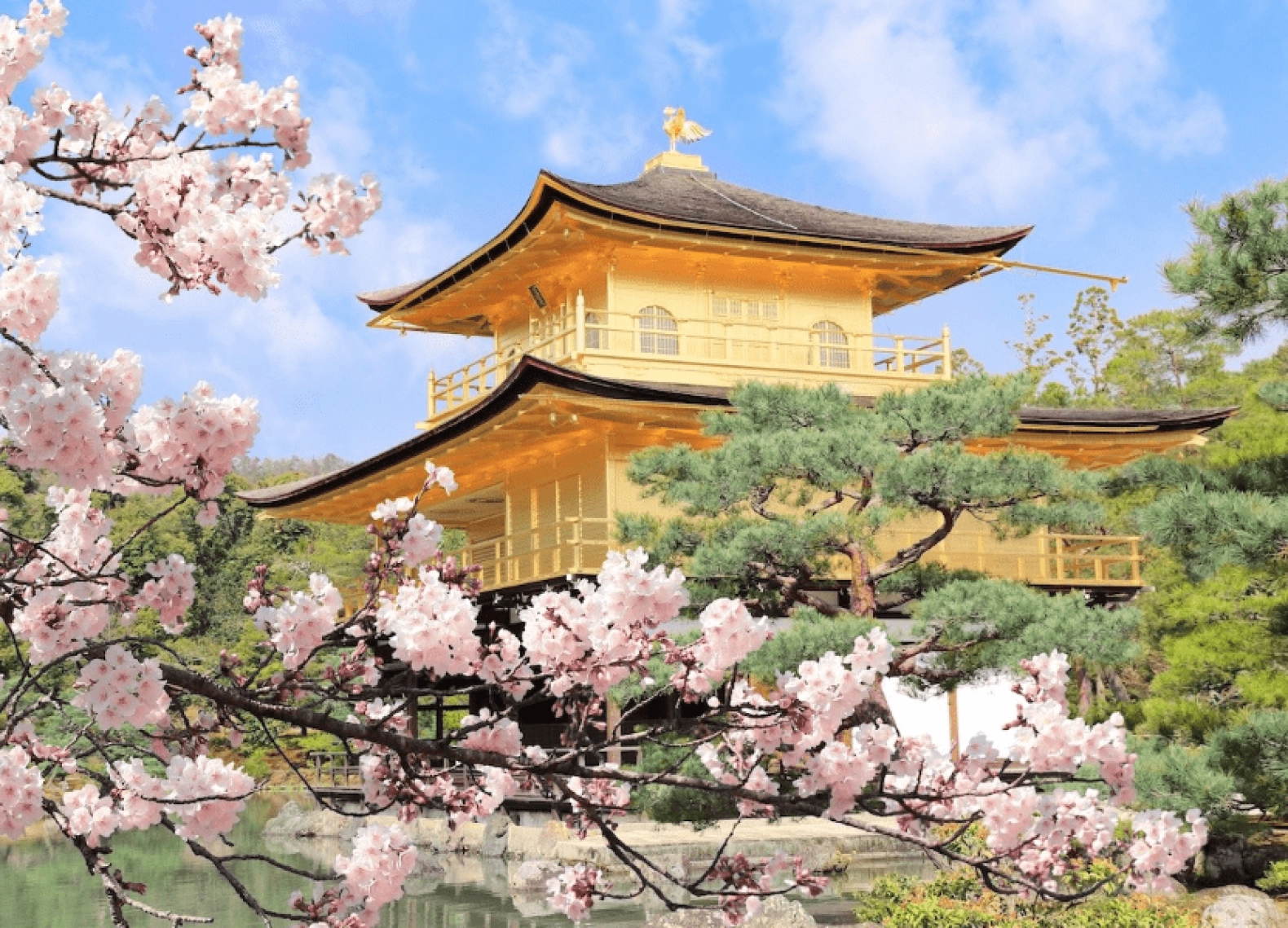 [Tour Nhật Bản CĐV tháng 4] Khám phá mùa hoa anh đào (14/04/2026)