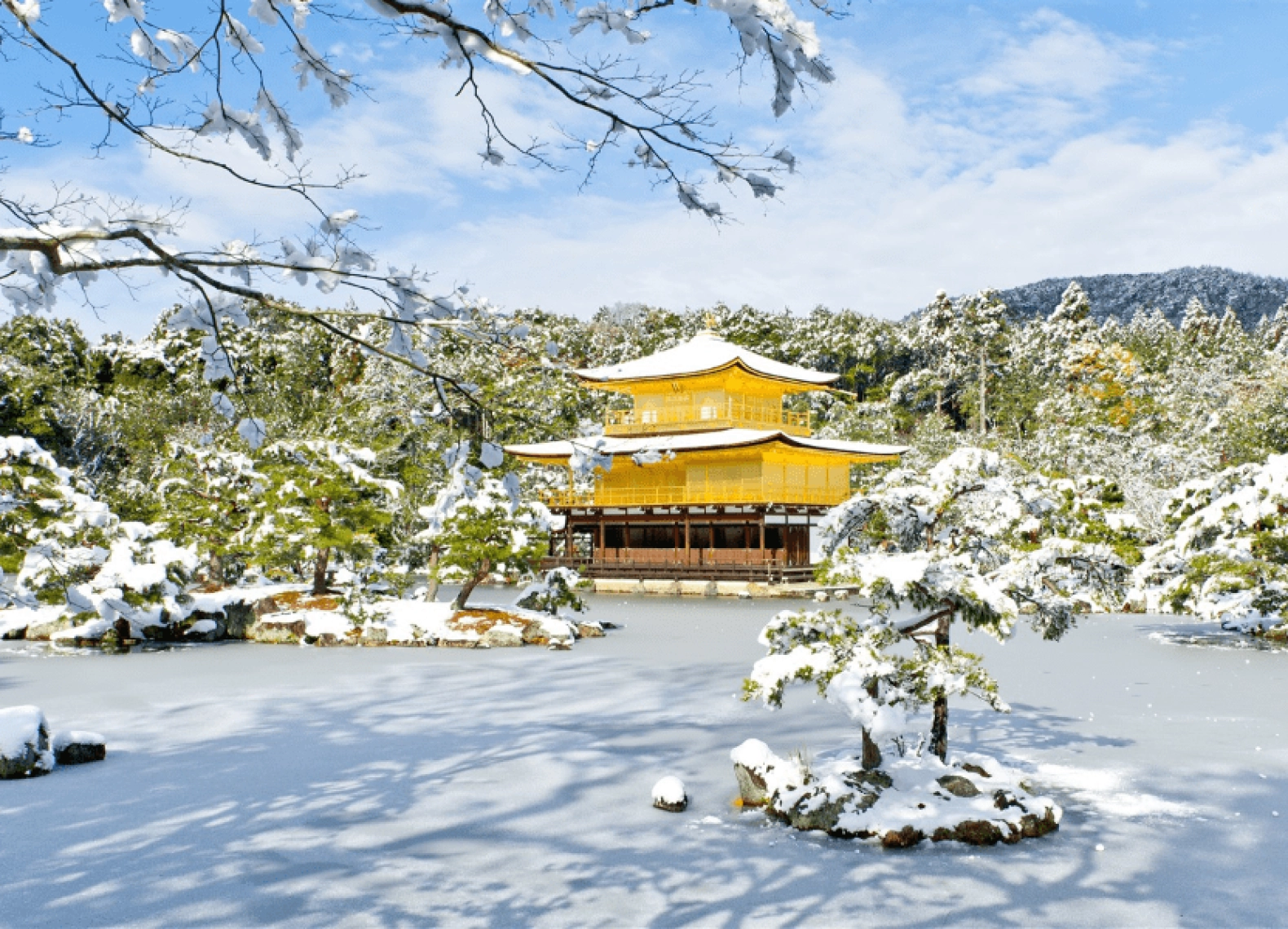 [Tour Nhật Bản CĐV tháng 1] Tokyo - Phú Sĩ - Nagoya - Kyoto - Osaka (21/01/2026)