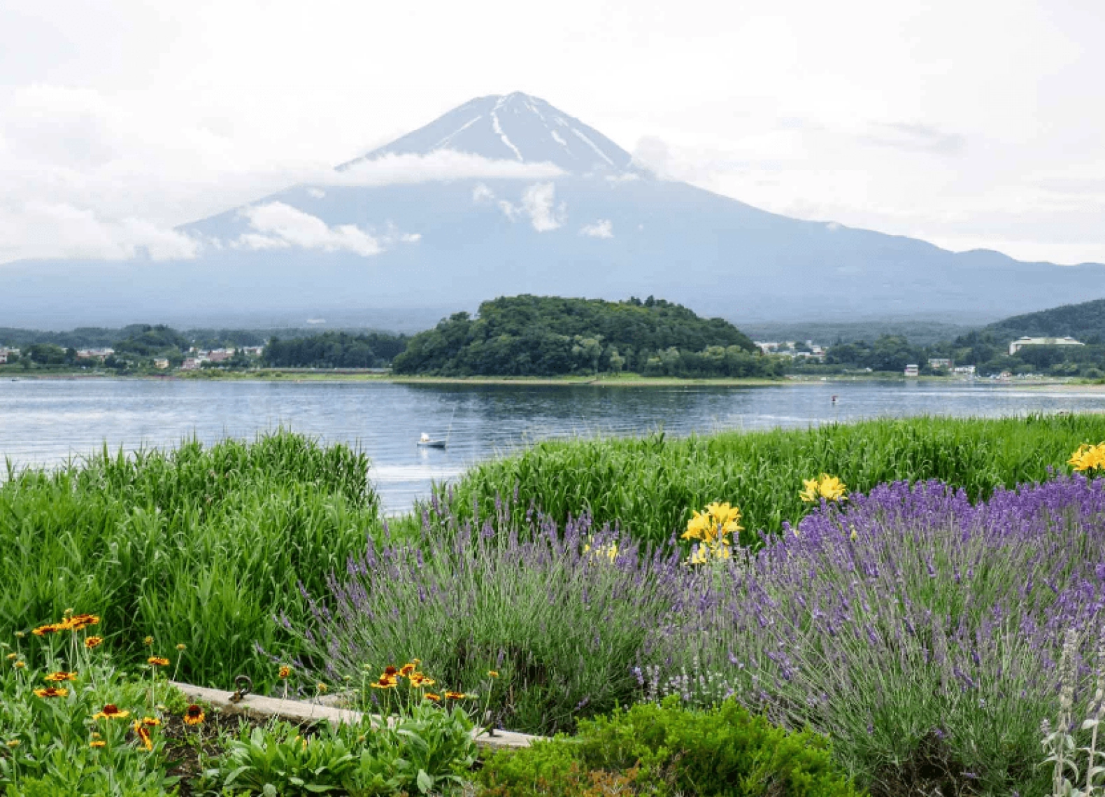 [Tour Nhật Bản CĐV tháng 10] Khám phá Tokyo - Phú Sĩ - Nagoya - Kyoto - Osaka (10/10/2025)