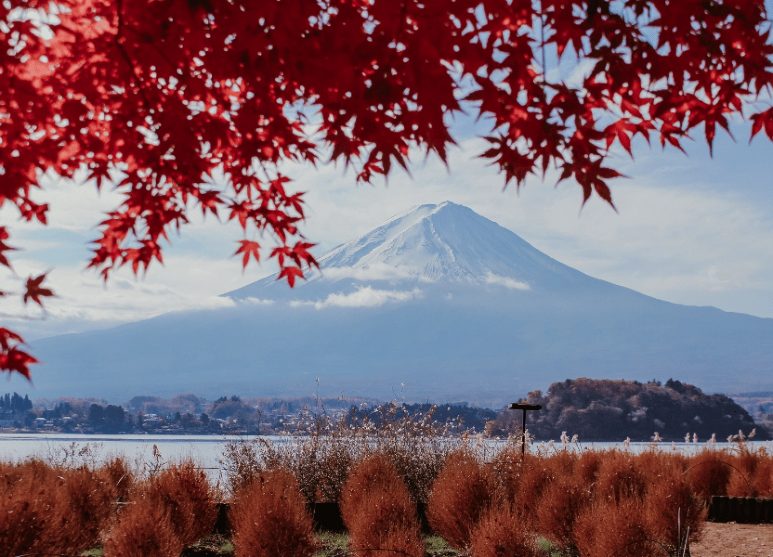 [Tour Nhật Bản CĐV tháng 11] Tokyo - Phú Sĩ - Nagoya - Kyoto - Osaka (07/11/2025)