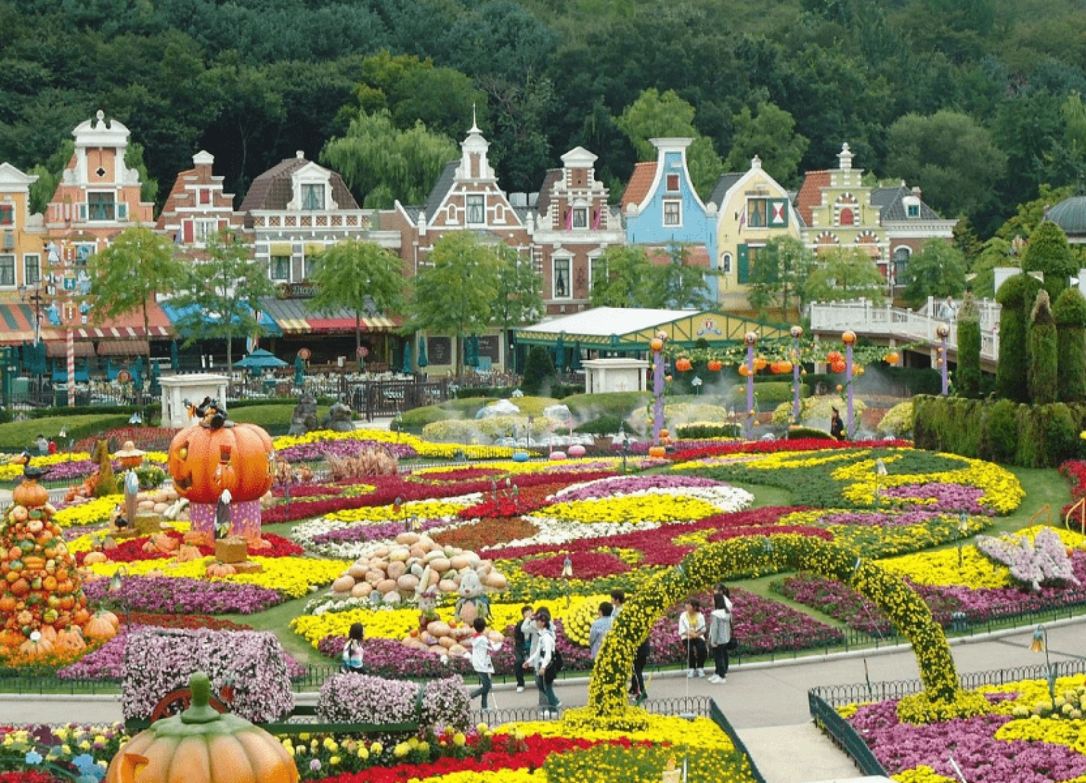 [Tour Hàn Quốc tháng 4] Ngắm hoa anh đào ở Yeouido (03/04/2026)