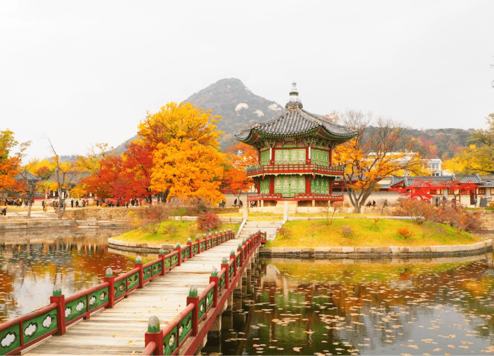 [Tour Hàn Quốc tháng 11] Thu vàng rực rỡ Seoul - Nami - Everland (27/11/2026)