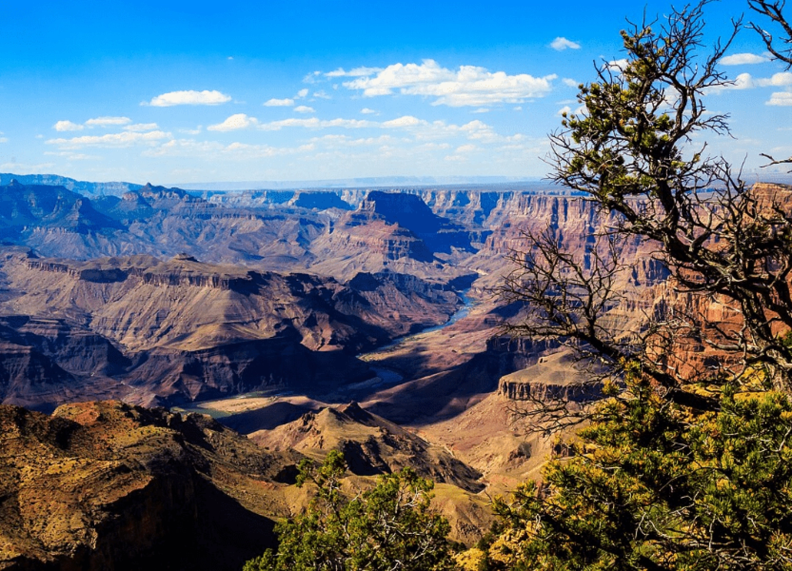 [Tour Mỹ liên tuyến tháng 10] Liveshow Concert Hà Anh Tuấn (12/10/2025)