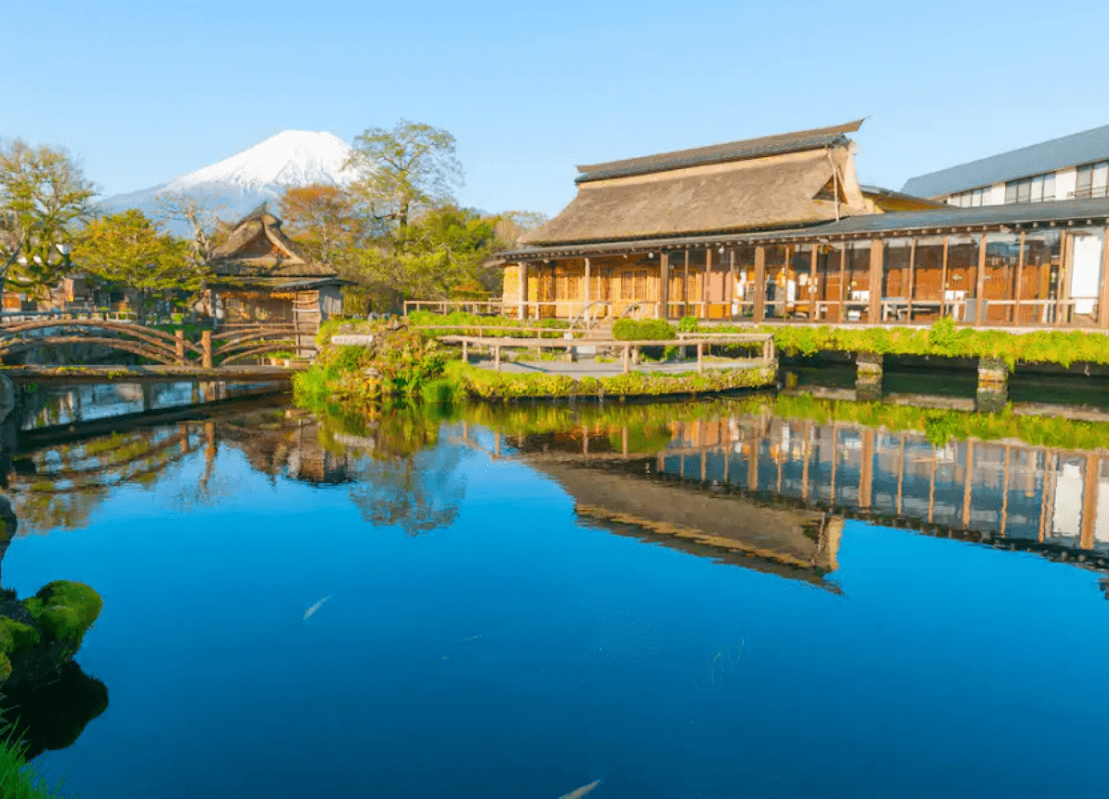 [Tour Nhật Bản CĐV tháng 10] Osaka - Kyoto - Nagoya - Phú Sĩ - Tokyo (14/10/2025)