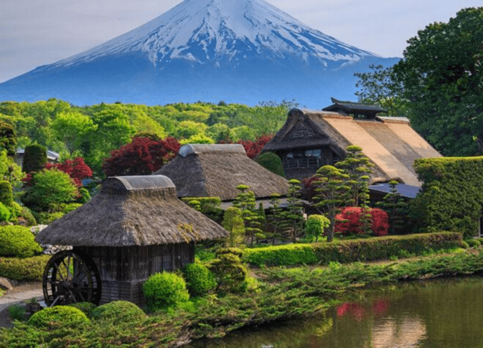 [Tour Nhật Bản CĐV tháng 6] Mùa hè Tokyo - Phú Sĩ - Osaka (26/06/2026)