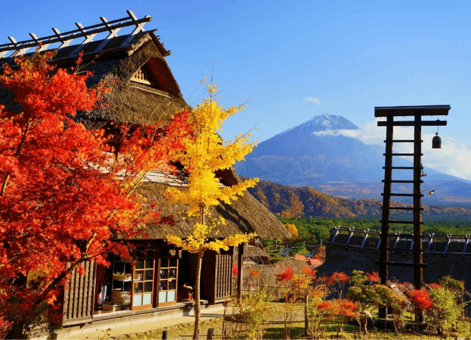 [Tour Nhật Bản CĐV tháng 12] Osaka - Kyoto - Nagoya - Phú Sĩ - Tokyo (02/12/2025)