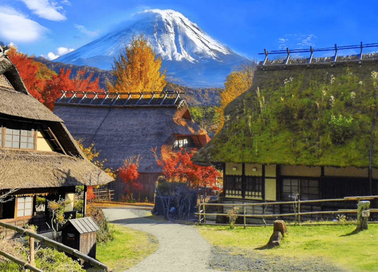 [Tour Nhật Bản CĐV tháng 12] Tokyo - Phú Sĩ - Nagoya (31/12/2025)