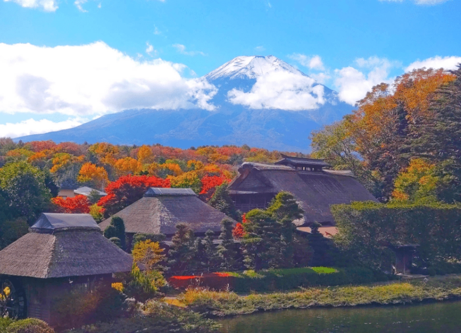 [Tour Nhật Bản CĐV tháng 11] Tokyo - Phú Sĩ - Nagoya - Kyoto - Osaka (07/11/2025)