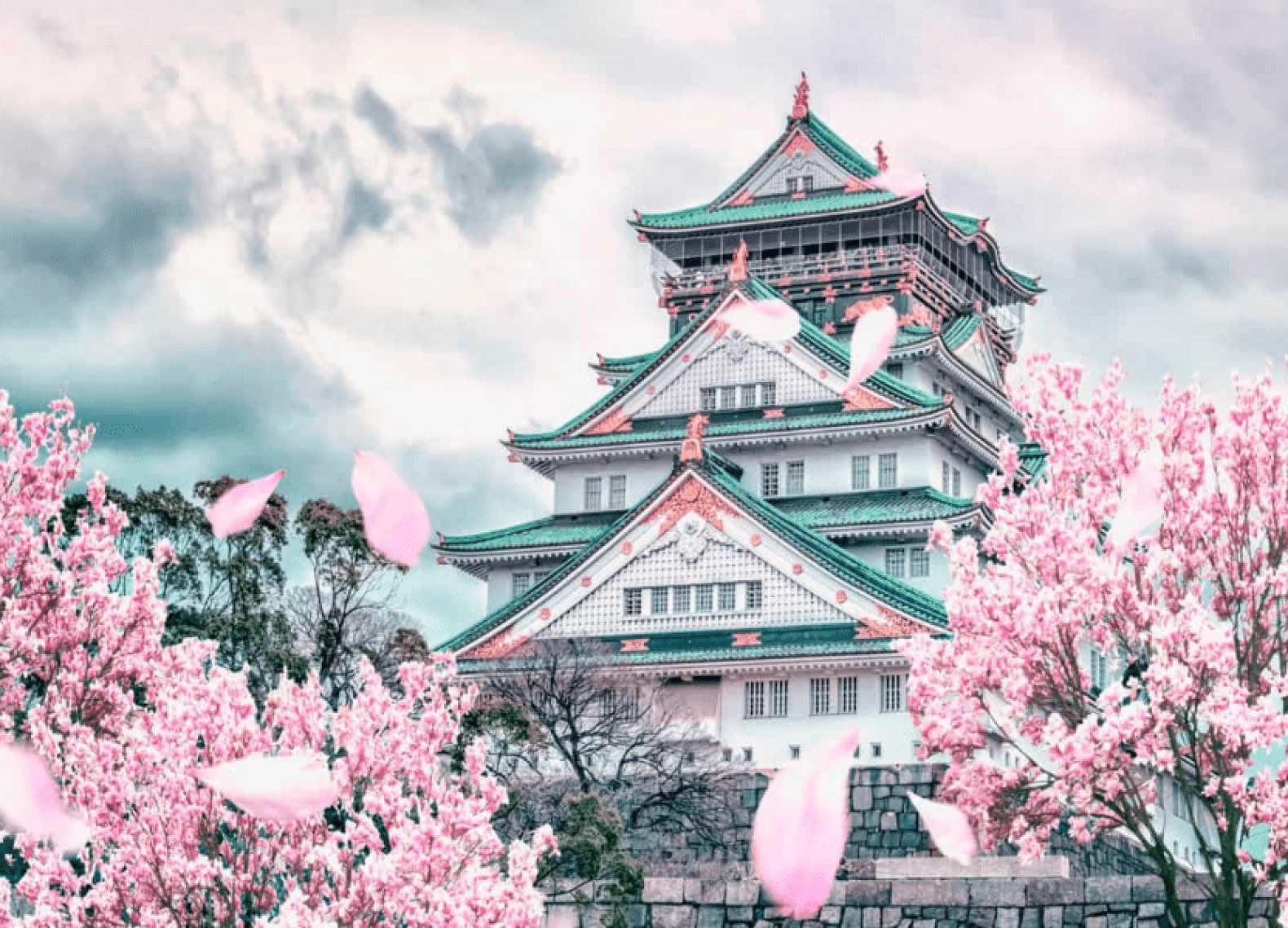 [Tour Nhật Bản CĐV tháng 4] Mùa hoa anh đào Osaka - Tokyo (05/04/2026)