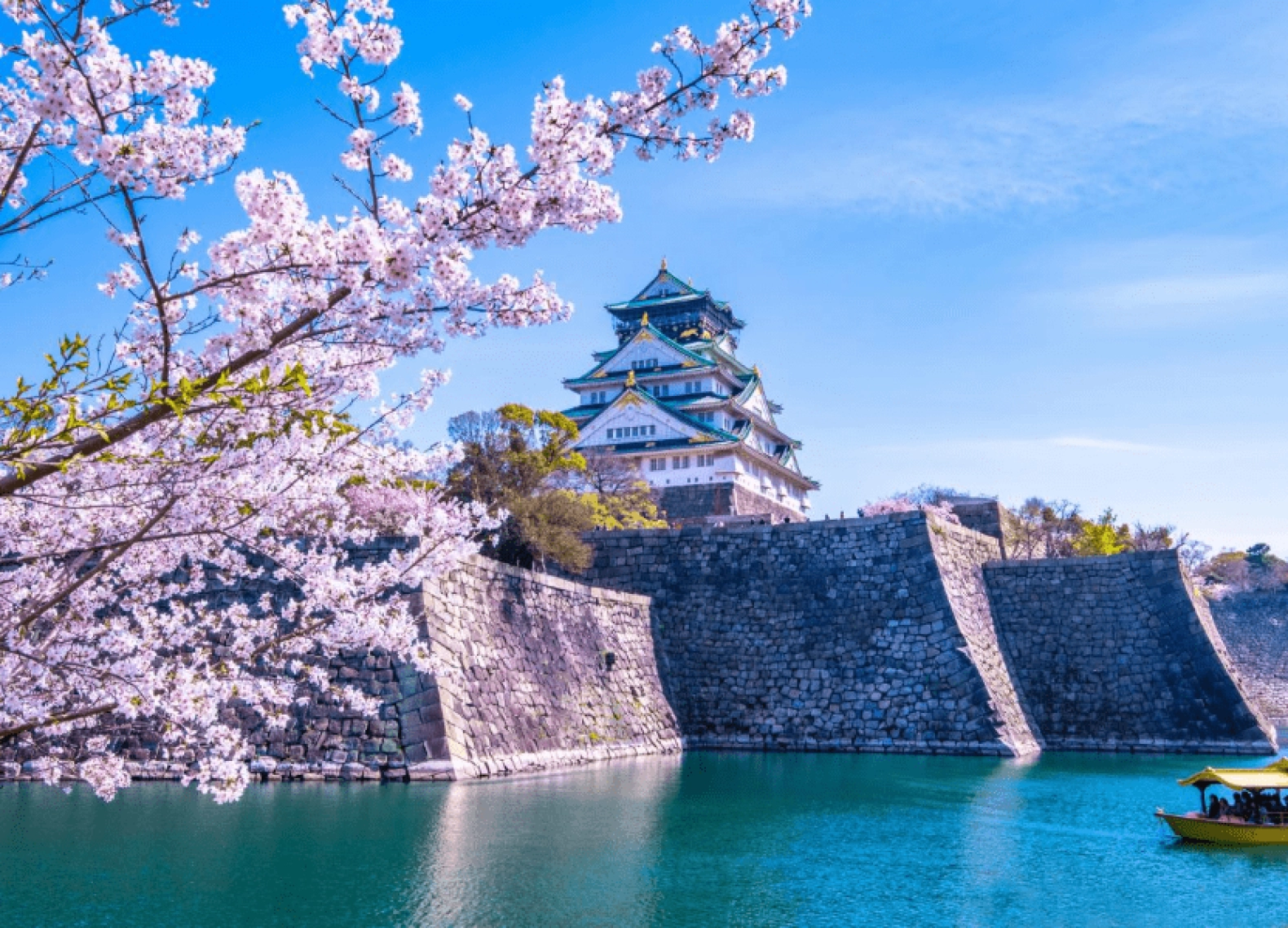 [Tour Nhật Bản CĐV tháng 3] Mùa hoa anh đào Osaka - Tokyo (27/03/2026)