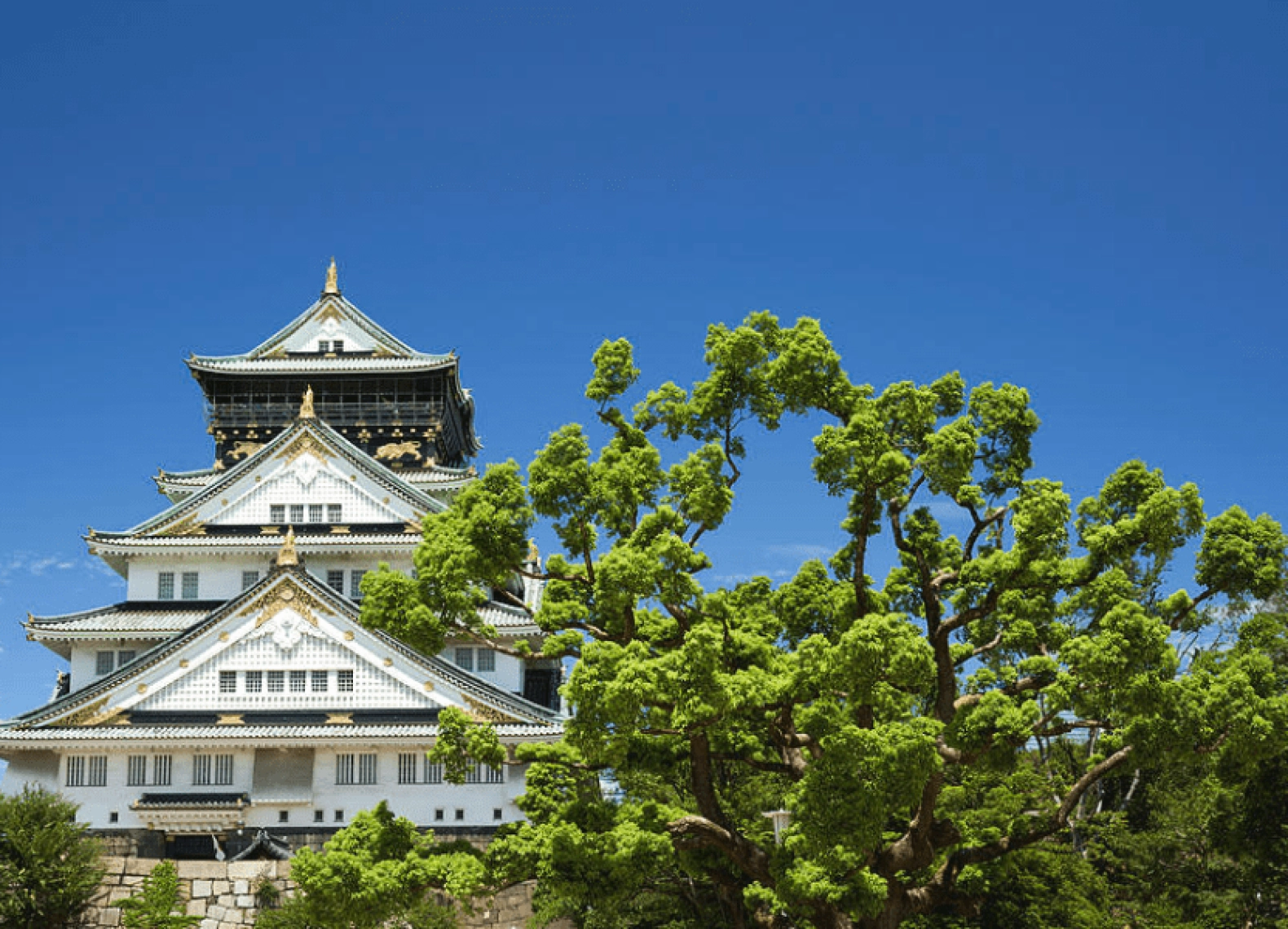 [Tour Nhật Bản CĐV tháng 10] Osaka - Kyoto - Nagoya - Phú Sĩ - Tokyo (21/10/2025)