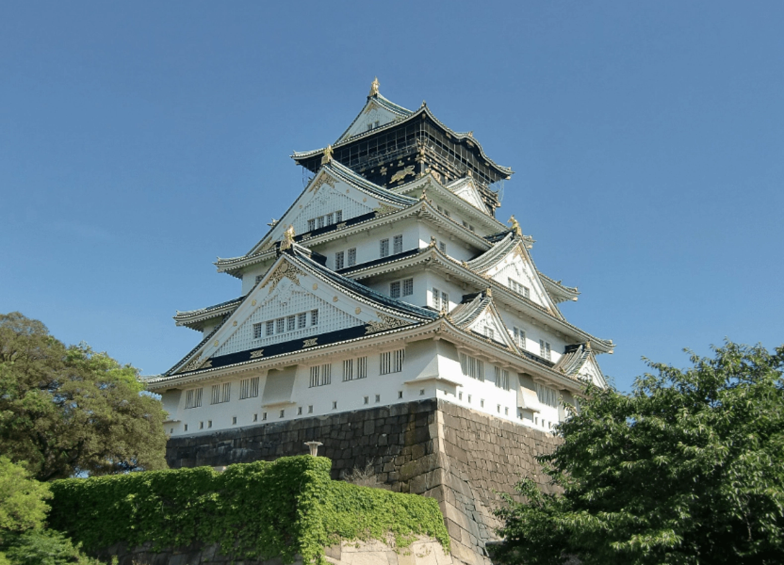 [Tour Nhật Bản CĐV tháng 5] Mùa hè Tokyo - Phú Sĩ - Osaka (22/05/2026)