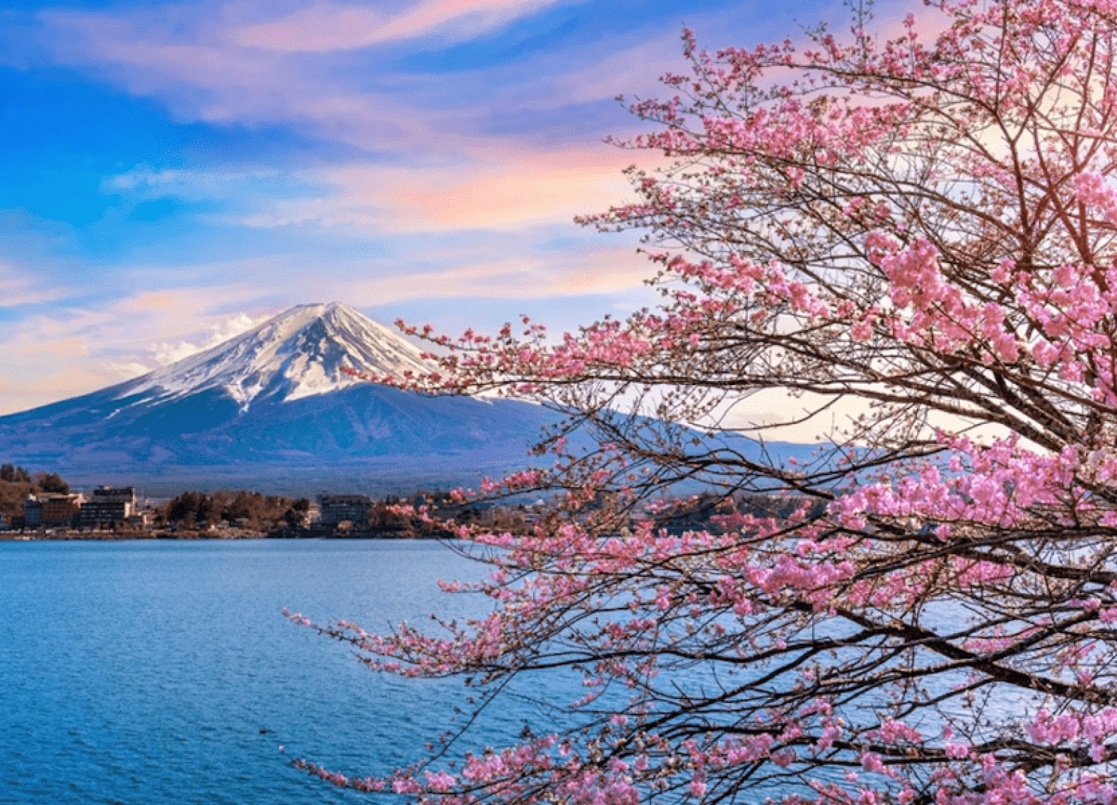 [Tour Nhật Bản CĐV tháng 4] Khám phá mùa hoa anh đào Osaka - Tokyo (02/04/2026)