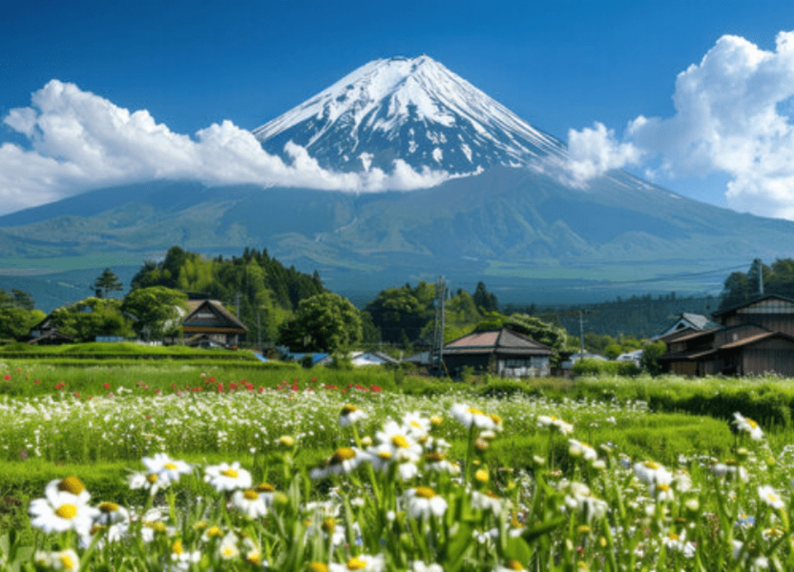 [Tour Nhật Bản CĐV tháng 10] Tokyo - Phú Sĩ - Kyoto - Osaka (17/10/2025)