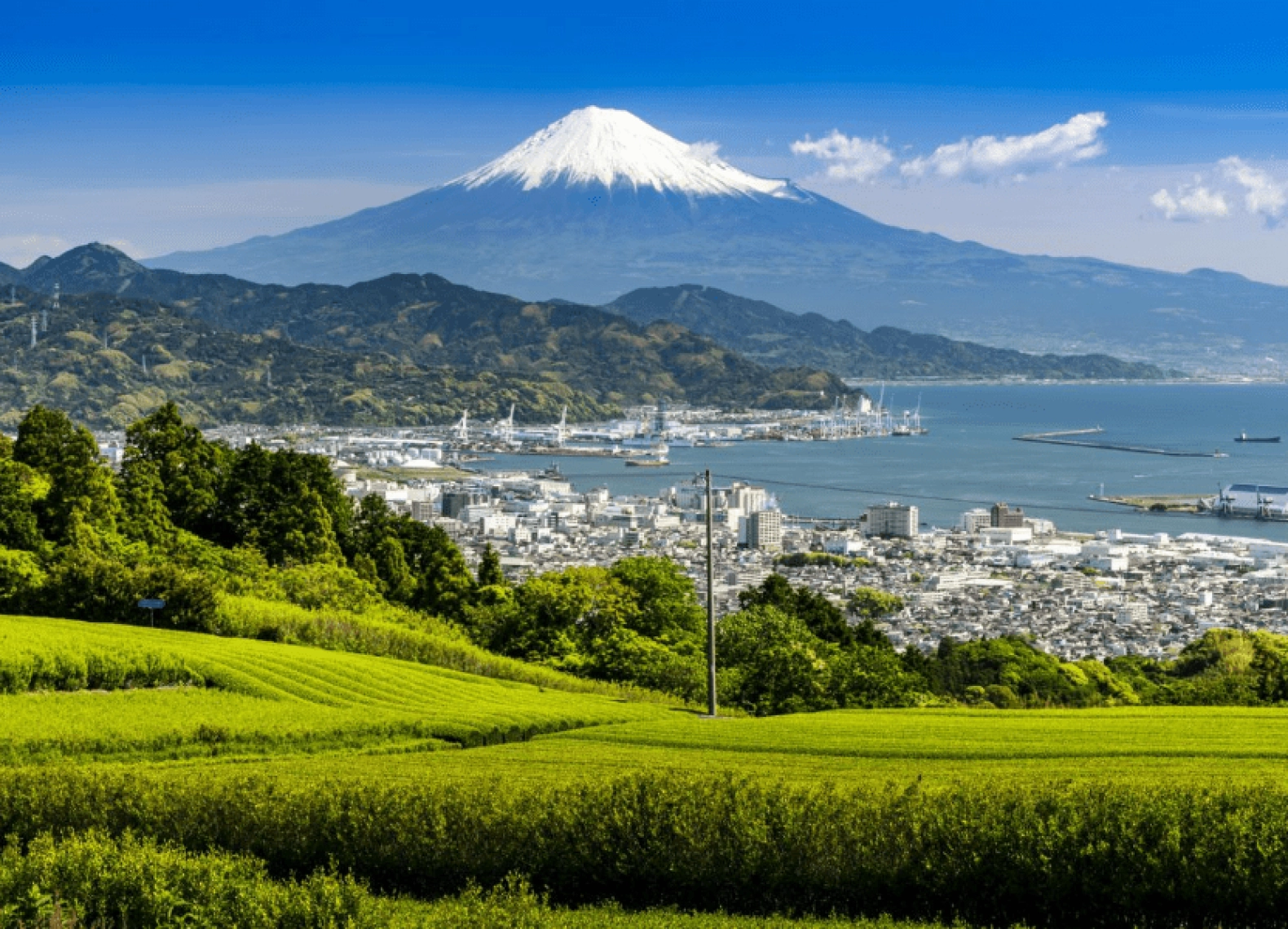 [Tour Nhật Bản CĐV tháng 4] Tokyo - Phú Sĩ - Nagoya - Kyoto - Osaka (24/04/2026) - Lễ Giỗ Tổ