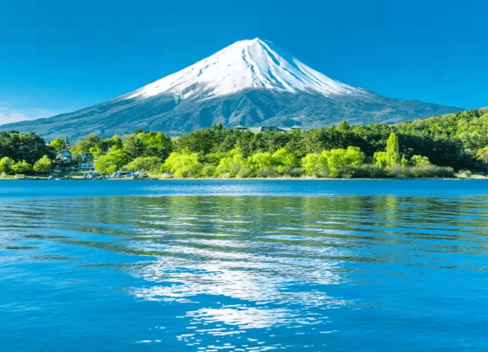 [Tour Nhật Bản CĐV tháng 5] Mùa hè Tokyo - Phú Sĩ - Osaka (26/05/2026)