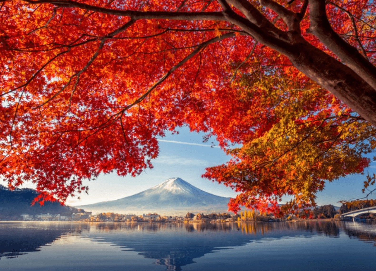 [Tour Nhật Bản CĐV tháng 12] Vi vu Osaka - Kyoto - Nagoya - Phú Sĩ - Tokyo mùa lá đỏ (02/12/2025)