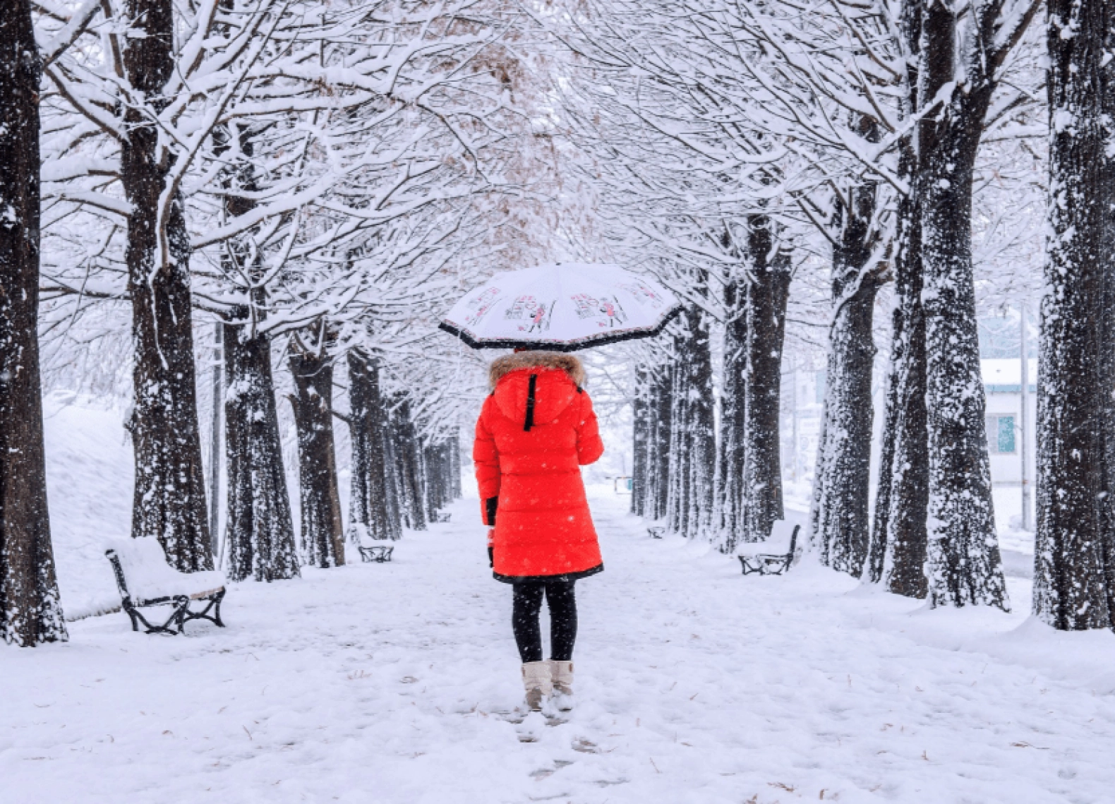 [Tour Hàn Quốc tháng 12] Seoul - Nami - Lotte World (05/12/2025)