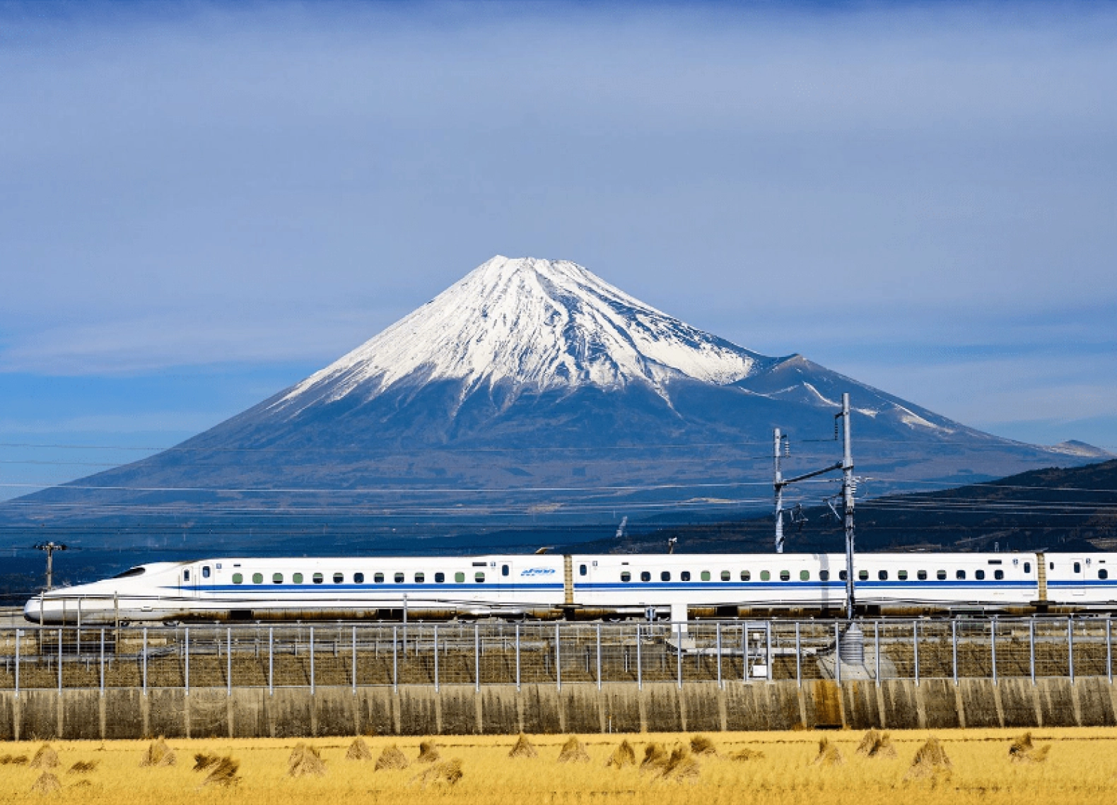[Tour Nhật Bản CĐV tháng 5] Mùa hè Tokyo - Phú Sĩ - Osaka (29/05/2026)