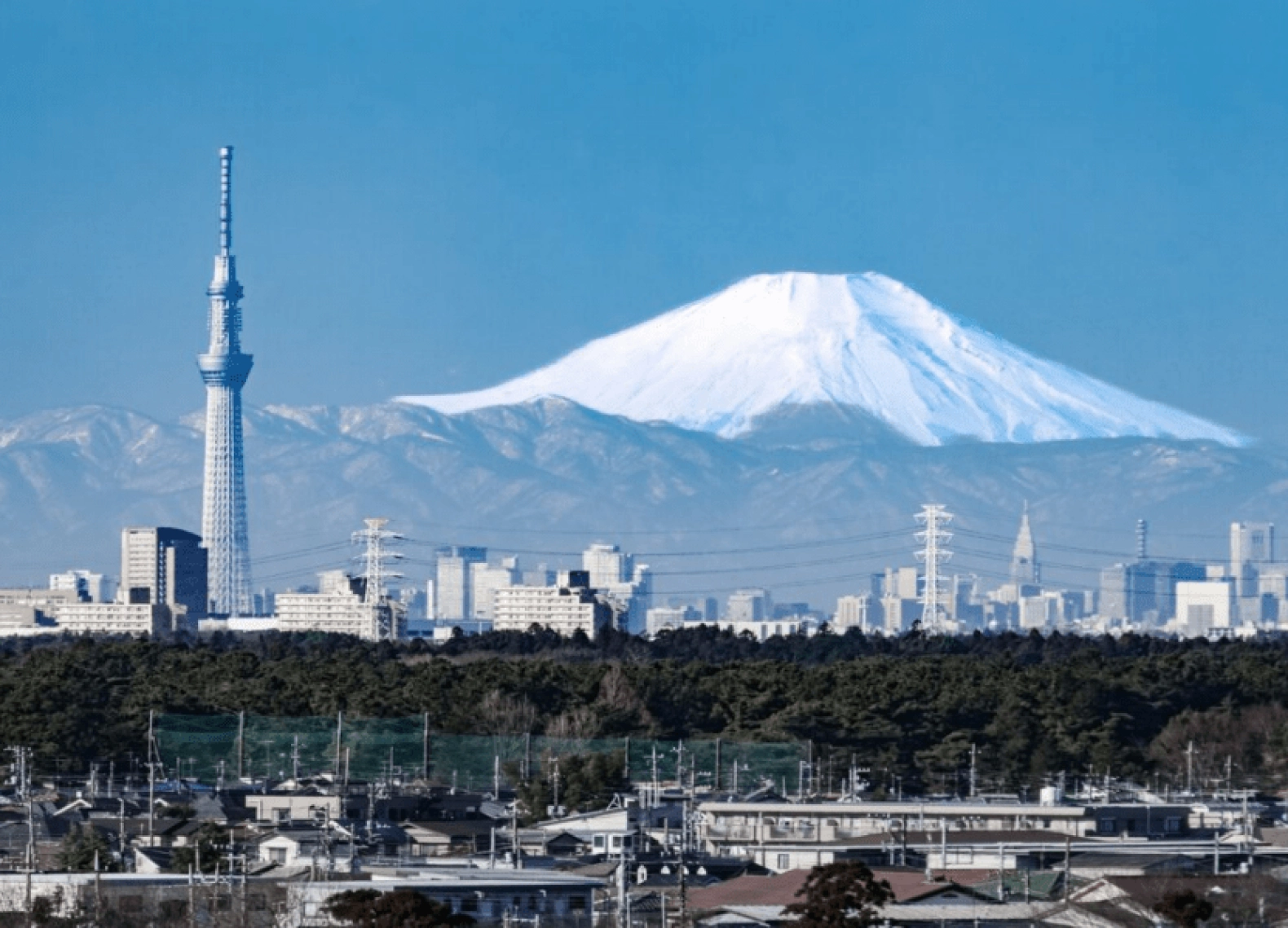[Tour Nhật Bản CĐV tháng 1] Tokyo - Phú Sĩ - Nagoya - Kyoto - Osaka (21/01/2026)