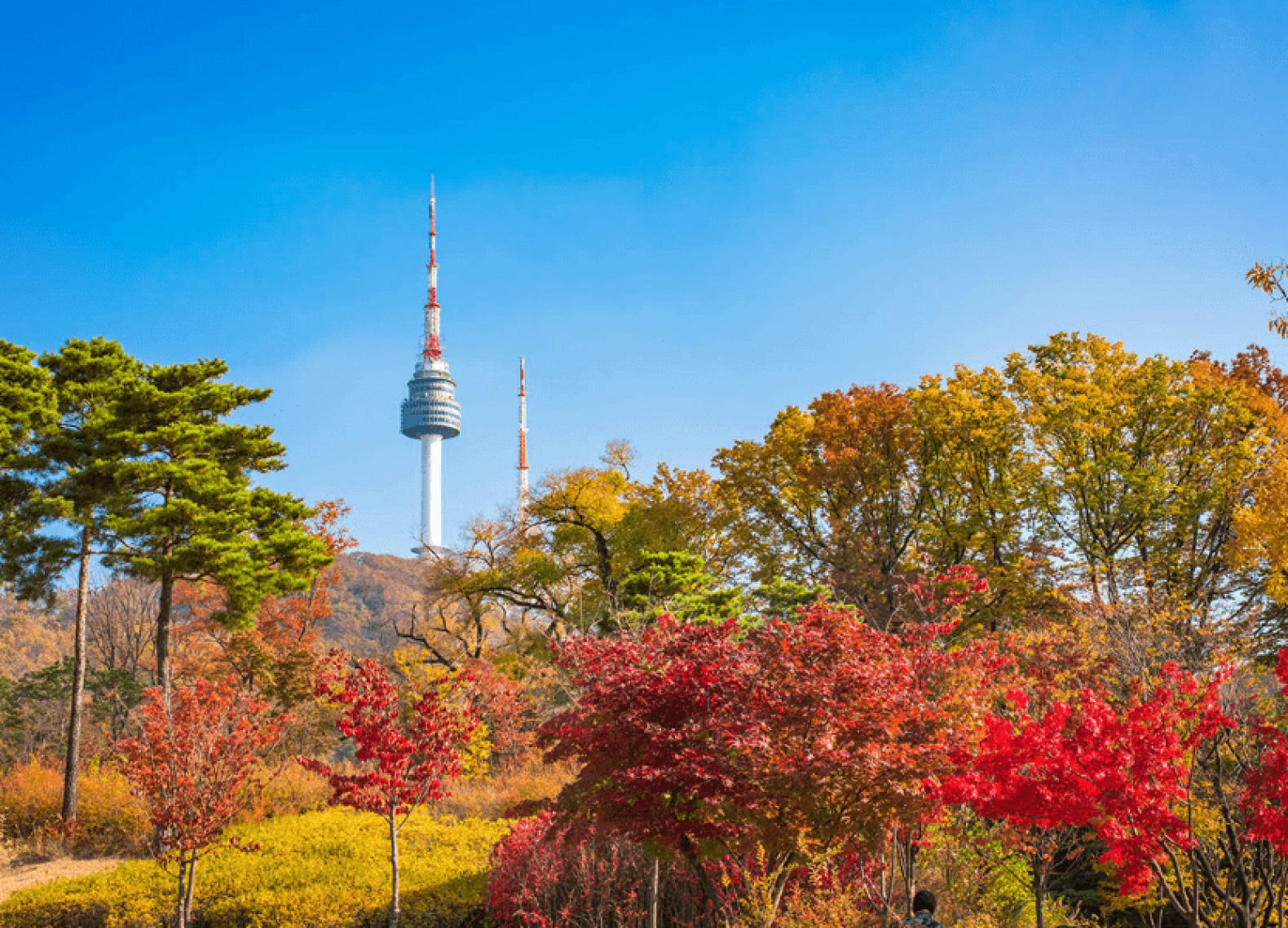 [Tour Hàn Quốc tháng 11] Mùa thu Seoul - Nami - Everland (27/11/2026)