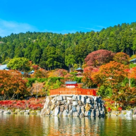 tour-nhat-ban-cdv-thang-10-11