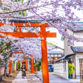 tour-nhat-ban-cdv-thang-3-11