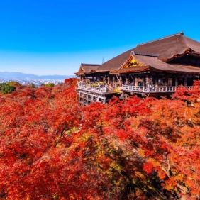 tour-nhat-ban-cdv-thang-10-12