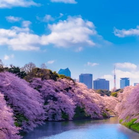 tour-nhat-ban-cdv-thang-3-02