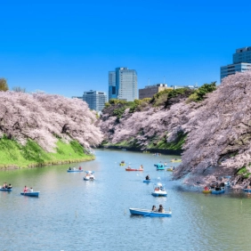 tour-nhat-ban-cdv-thang-4-09