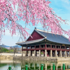 tour-han-quoc-thang-4-02