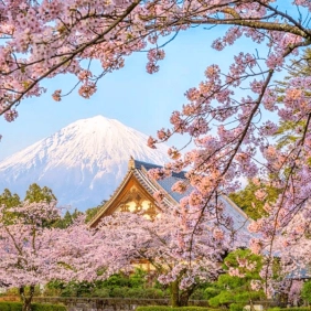 tour-nhat-ban-cdv-thang-3-05