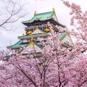 tour-nhat-ban-cdv-thang-3-06