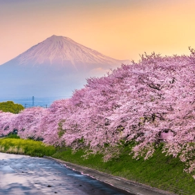 tour-nhat-ban-cdv-thang-4-01