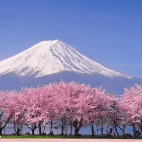 tour-nhat-ban-cdv-thang-3-8