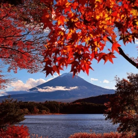 tour-nhat-ban-cdv-thang-12-05